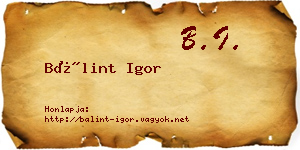 Bálint Igor névjegykártya